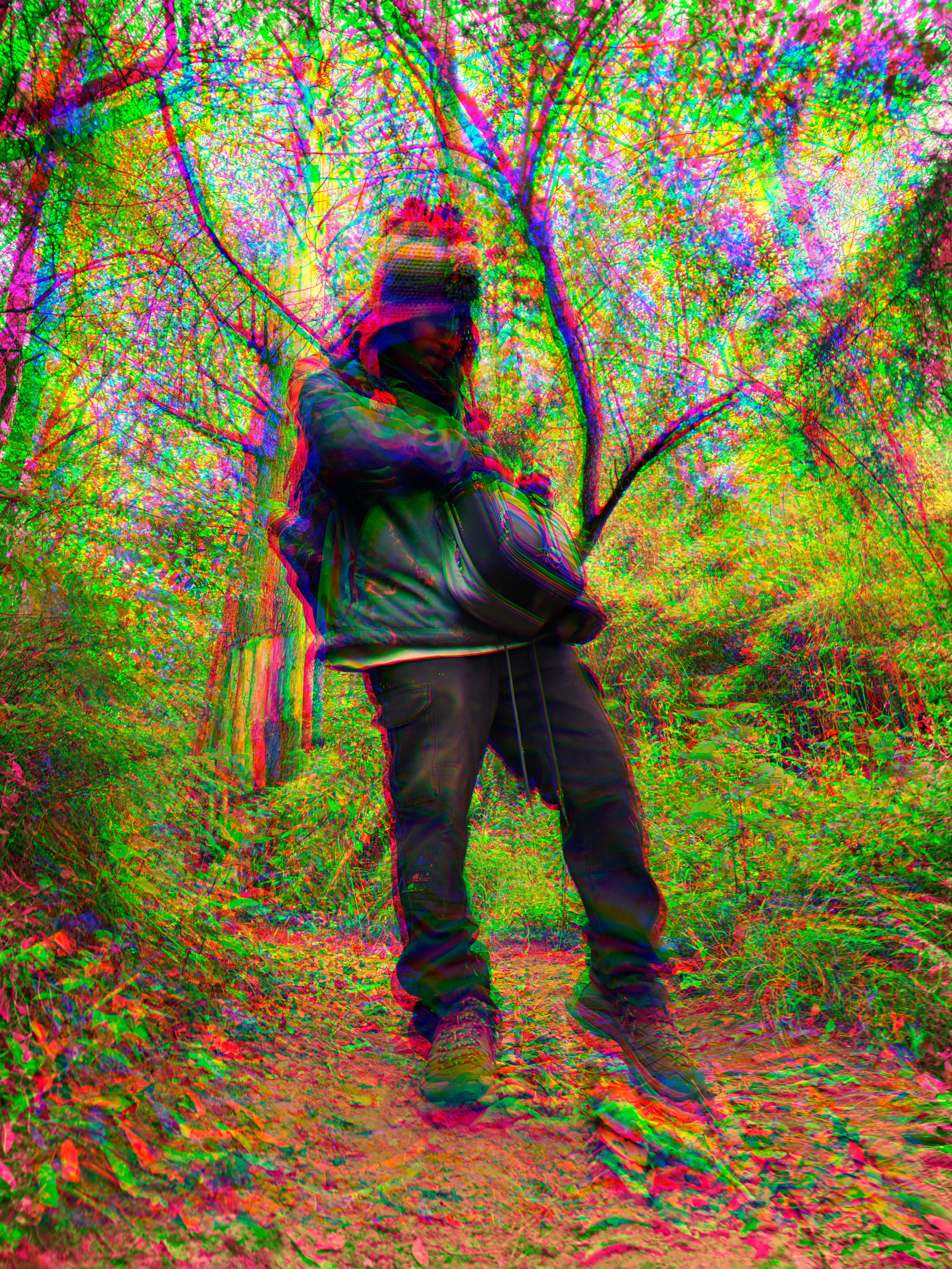 Fructalic