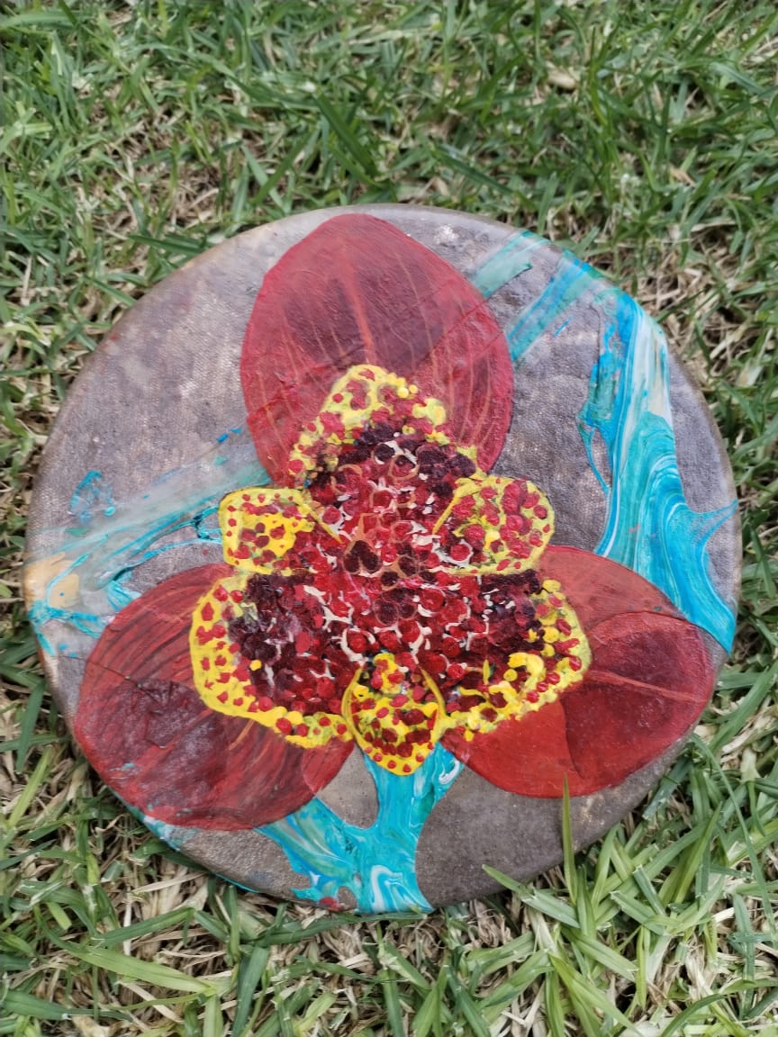 Tigridia pavonia