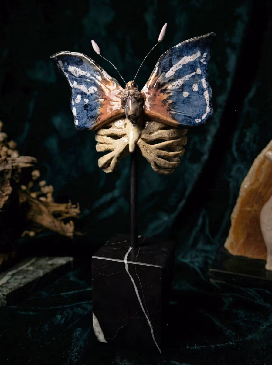 LEPIDOPTERA
