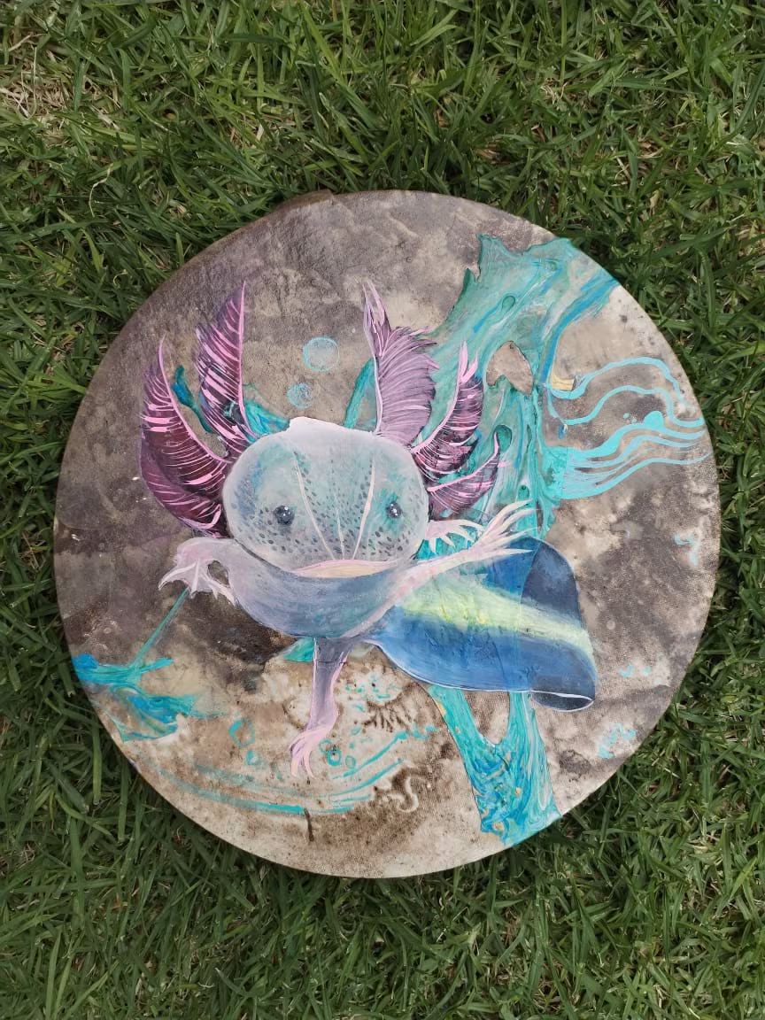 Axolotl