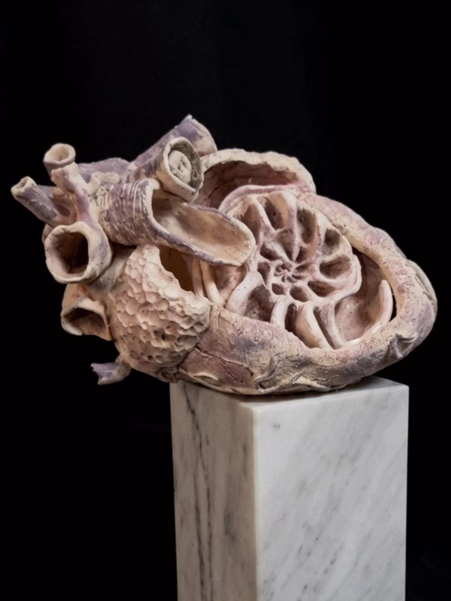 METAMORFOSIS DEL SER