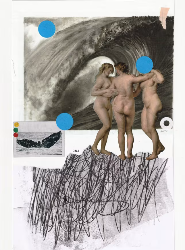 Salvajes — imagen 2