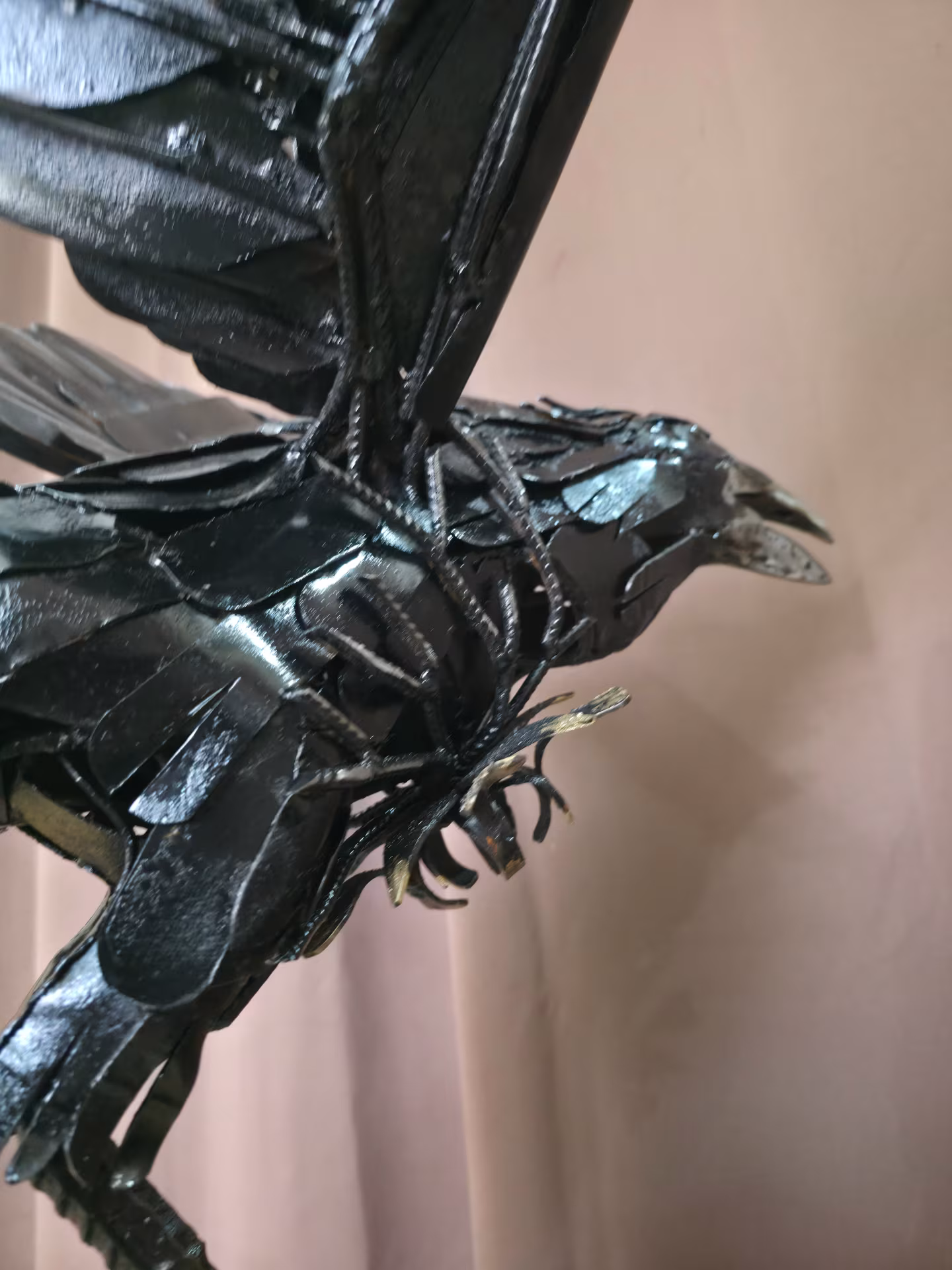 Corvus — imagen 2