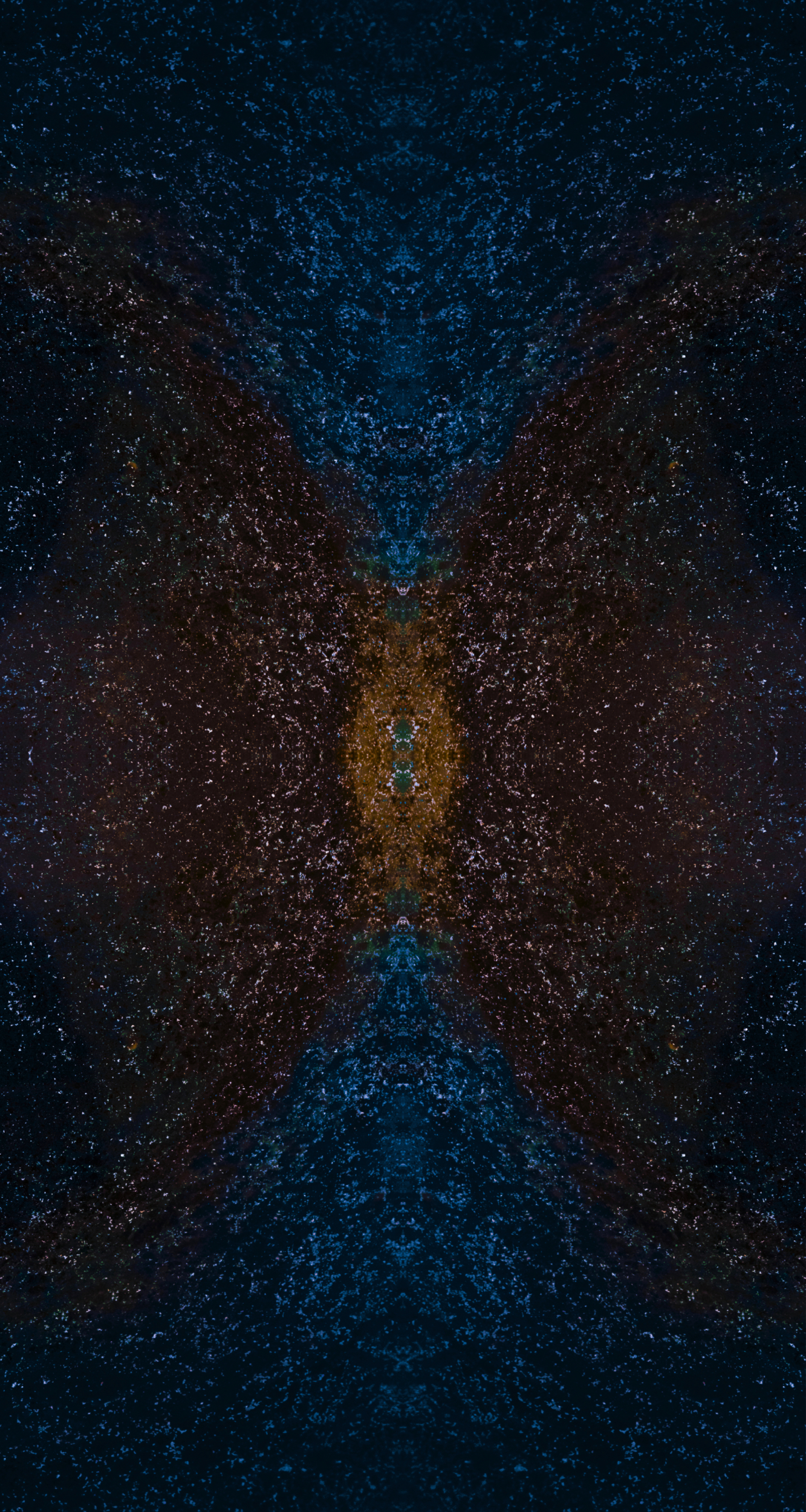 Mariposa — imagen 1