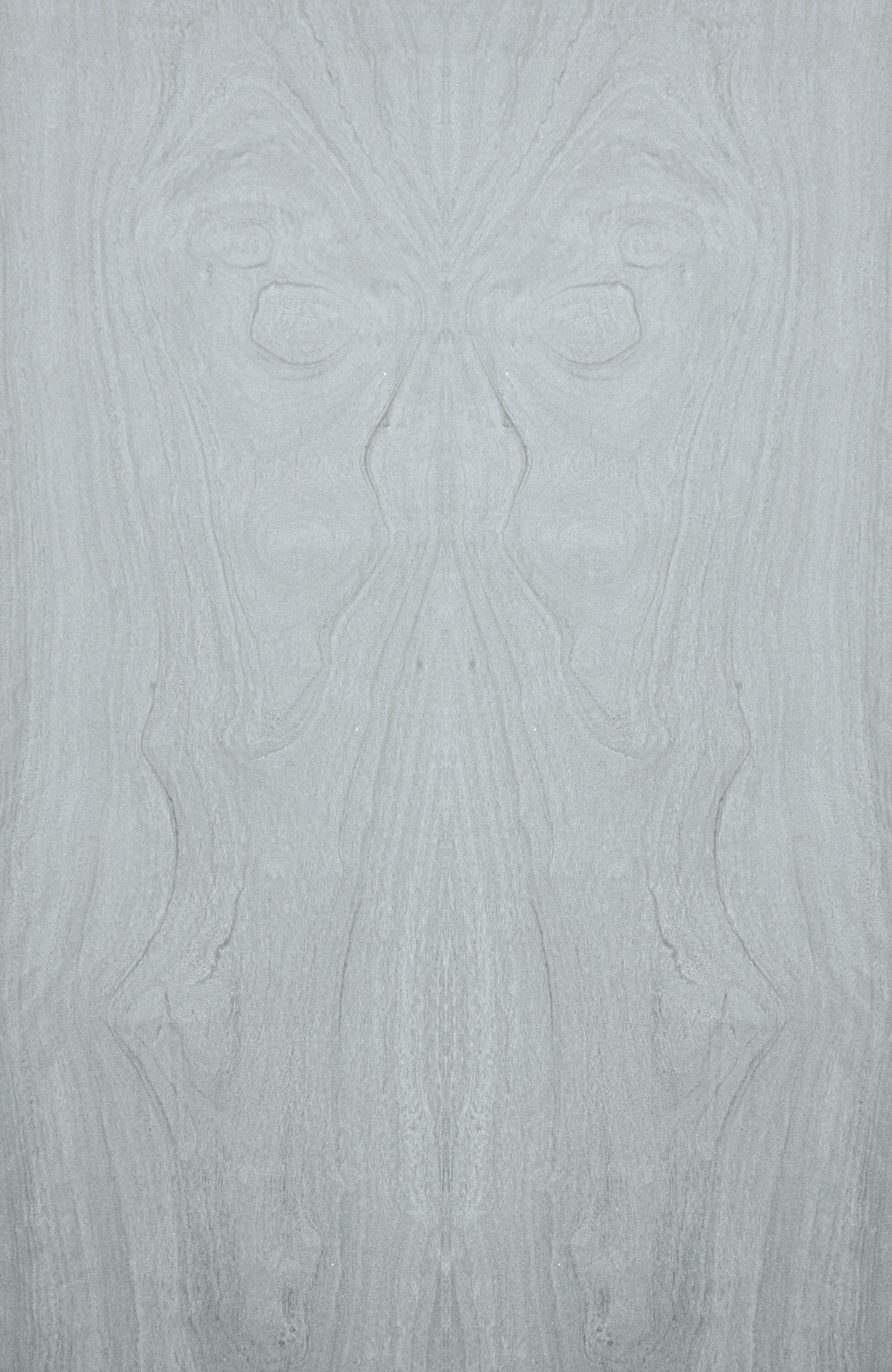 Mariposa De Luz — imagen 1