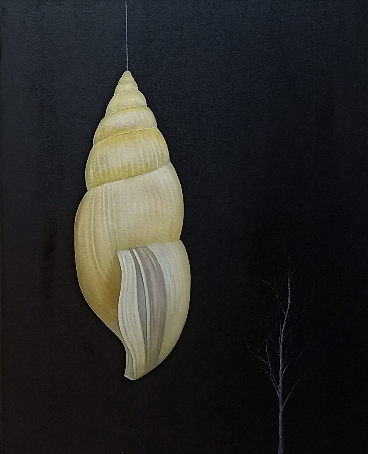 Espiral nocturna — imagen 1