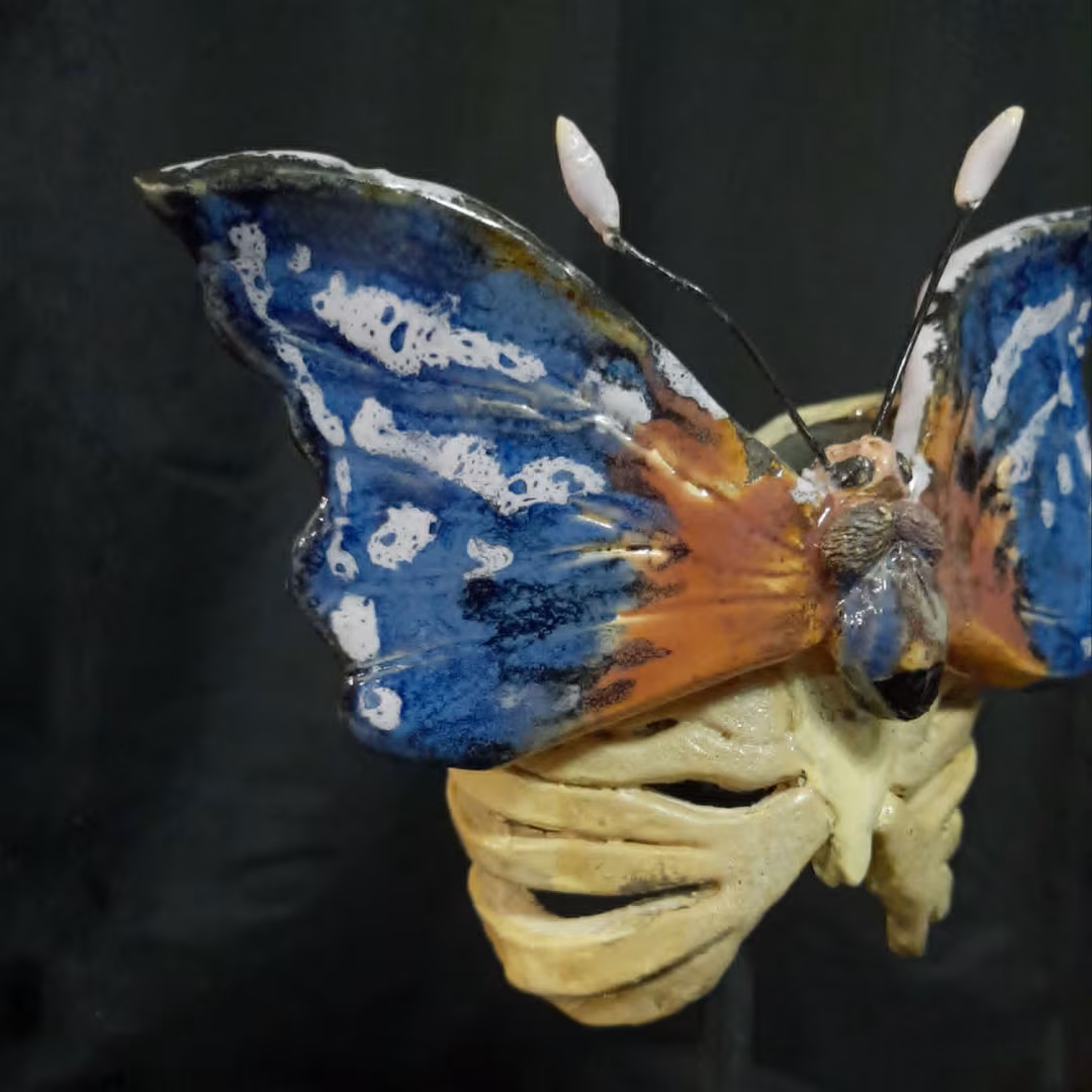 LEPIDOPTERA — imagen 5