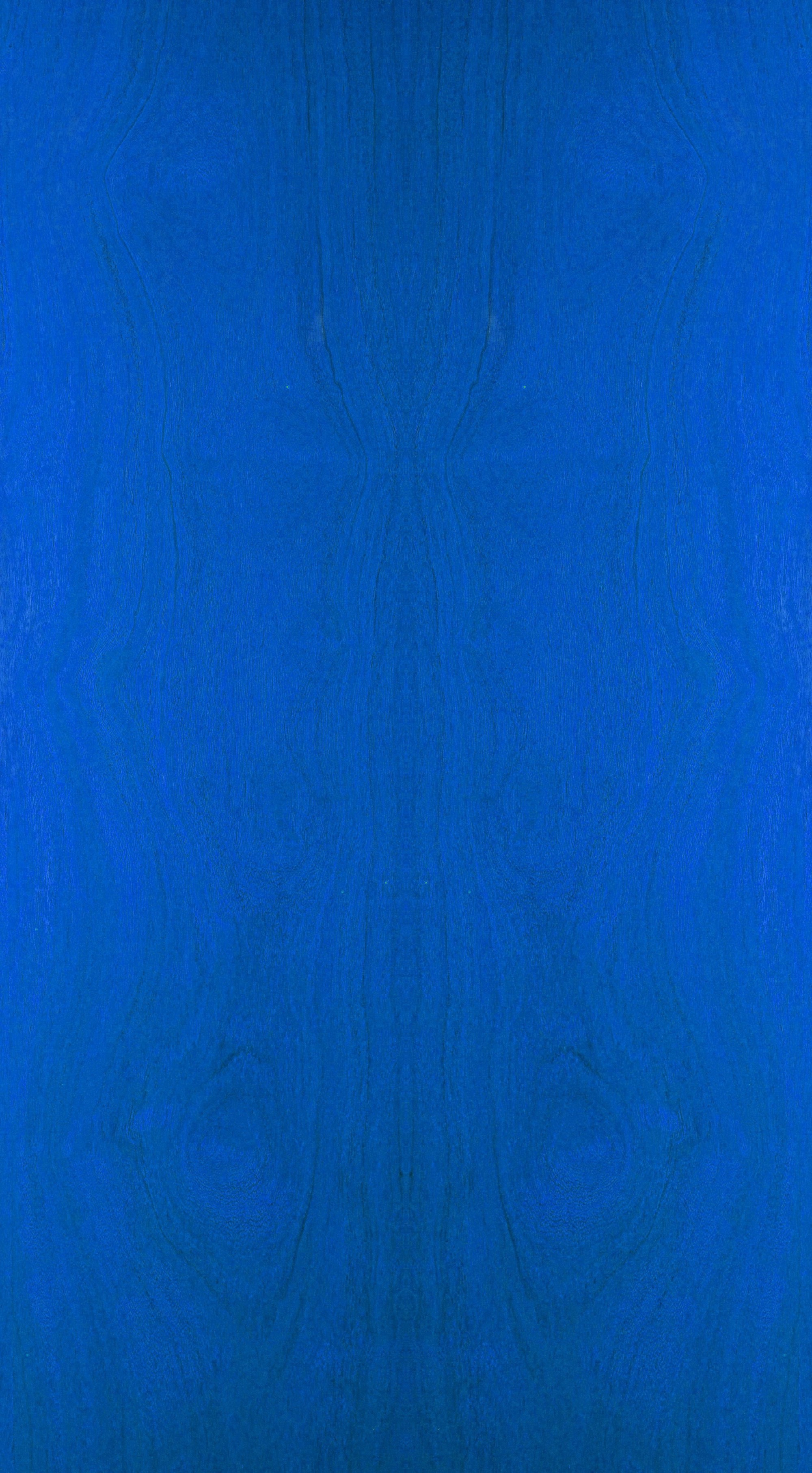 Oruga — imagen 1