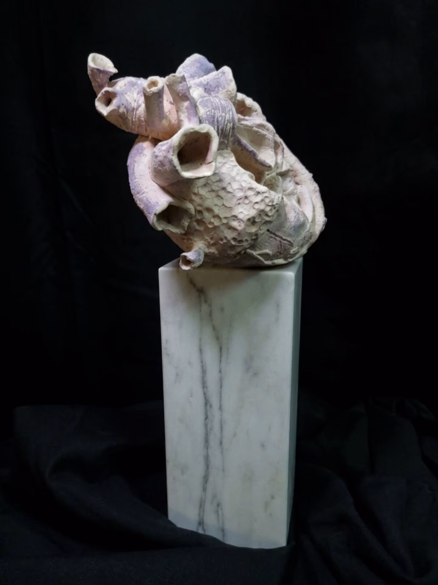 METAMORFOSIS DEL SER — imagen 5