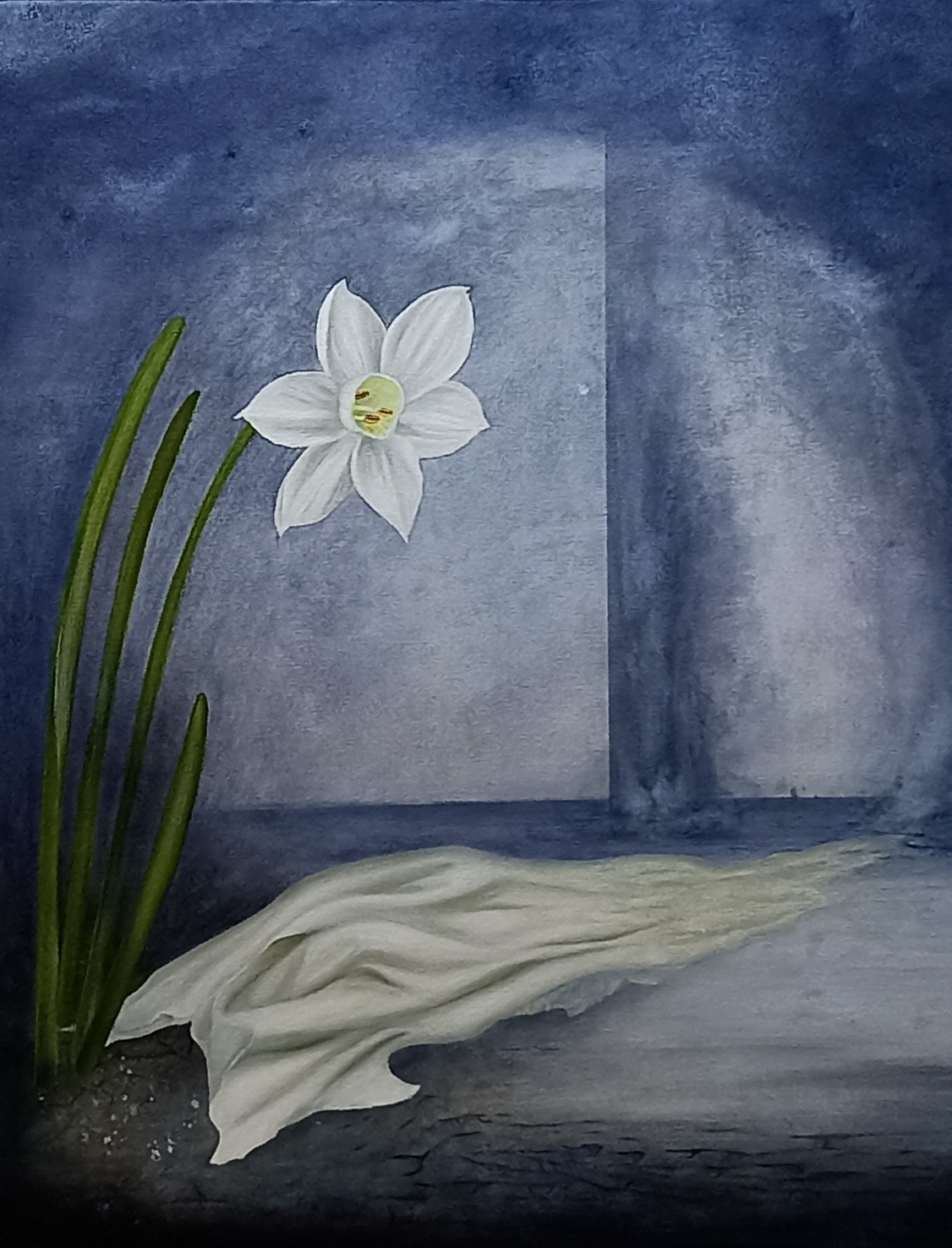 Narciso velado — imagen 1