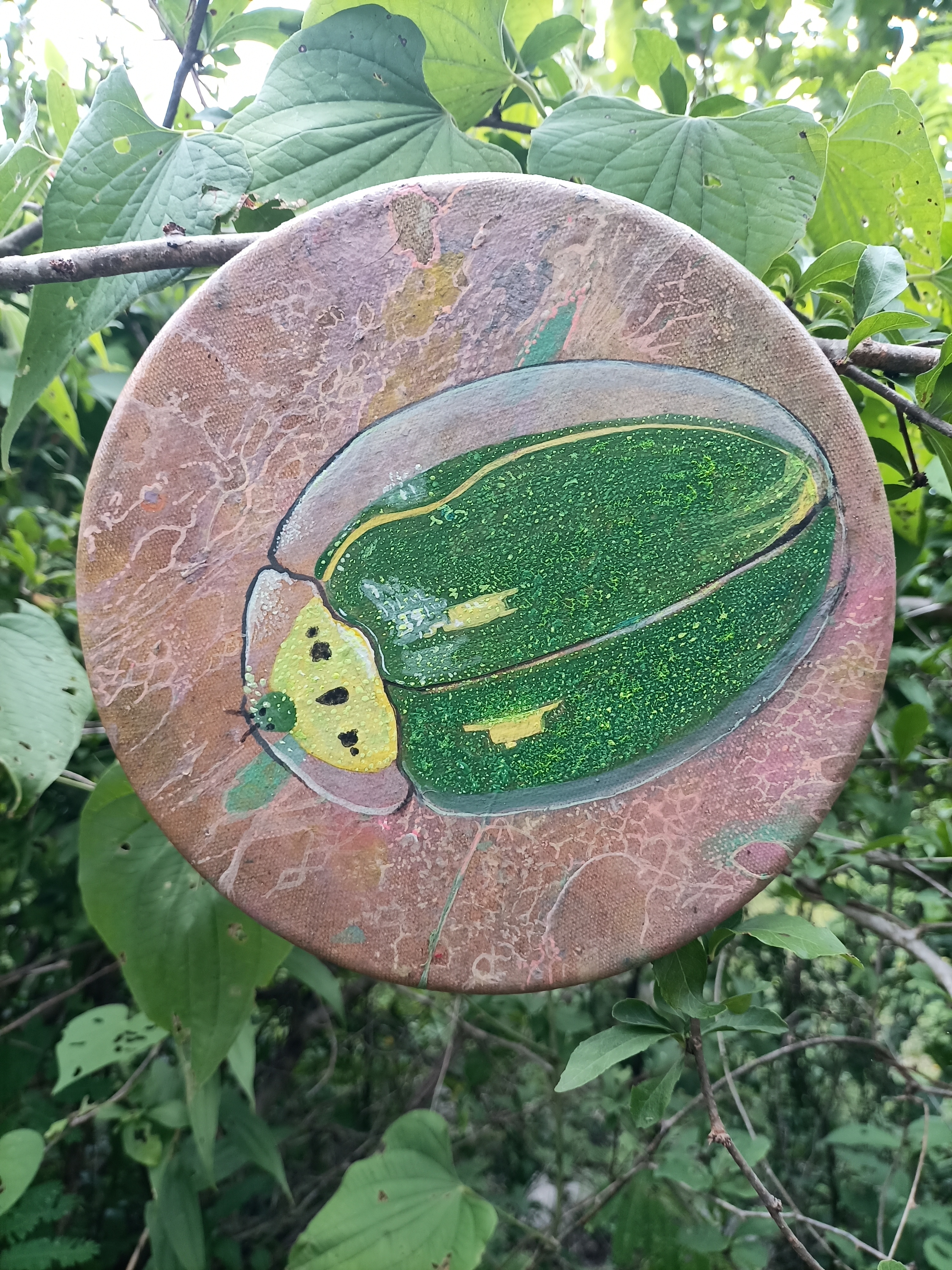 Escarabajo tortuga