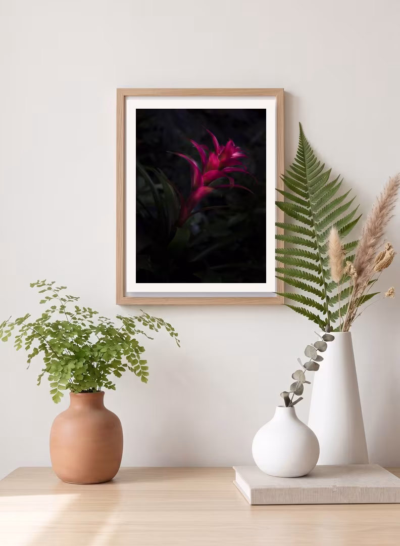 Botánica 02 · Llama — imagen 2