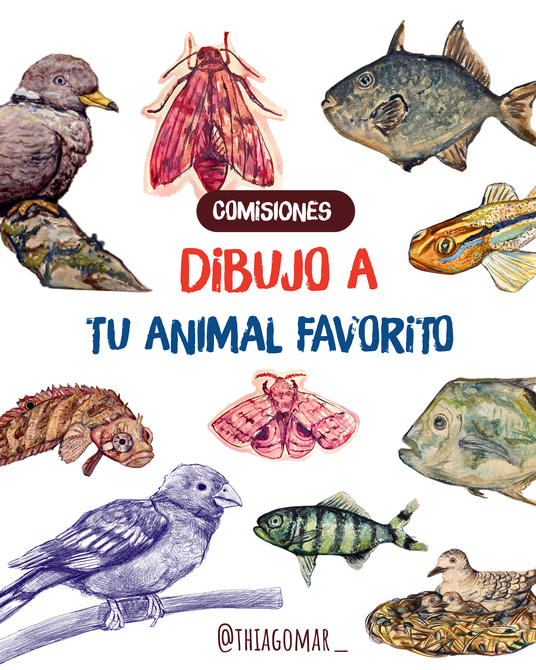 OBRA ORIGINAL DE TU ANIMAL FAVORITO