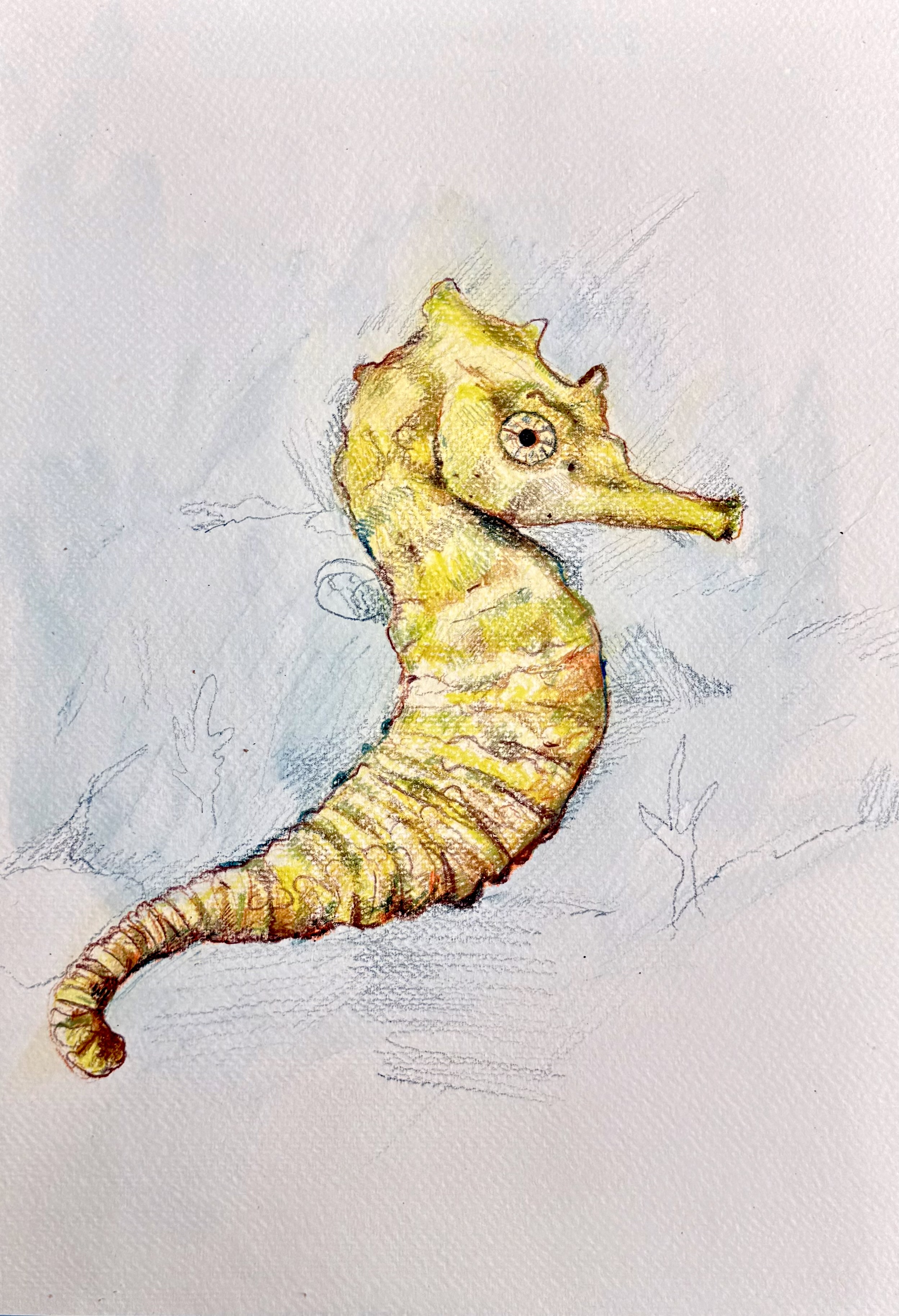 OBRA ORIGINAL DE TU ANIMAL FAVORITO — imagen 4