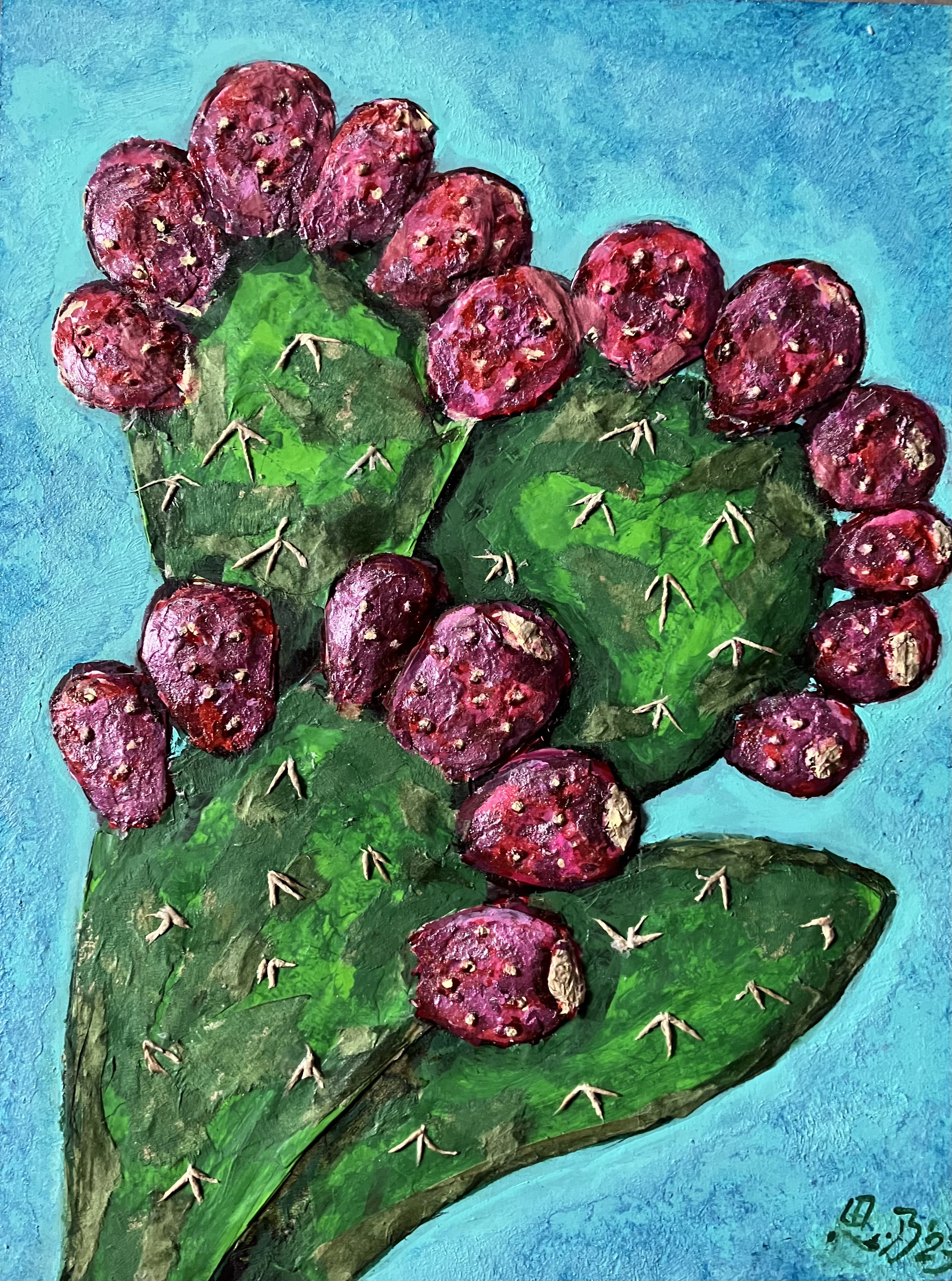 Tierra de tunas
