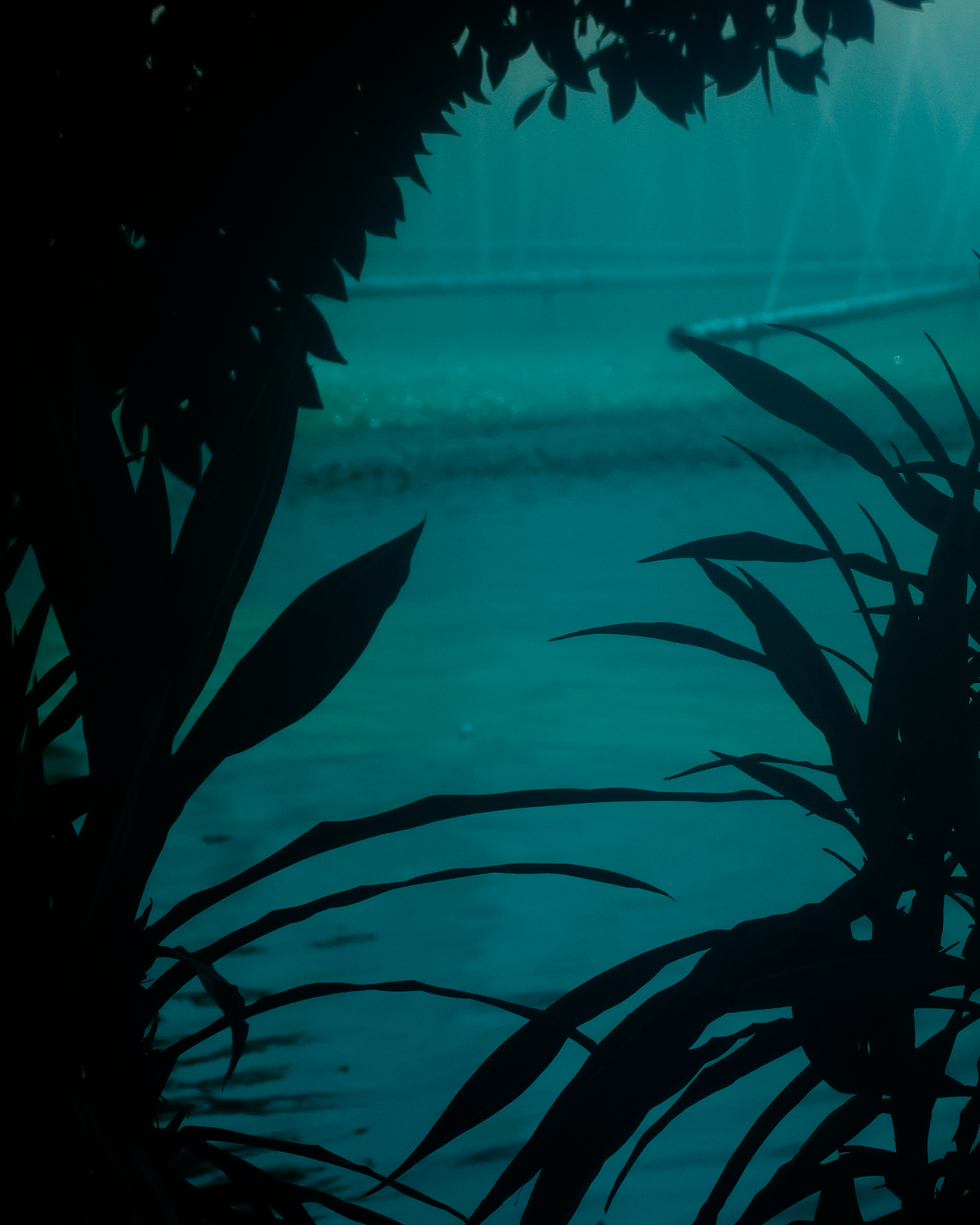 Extraño el mar — imagen 3