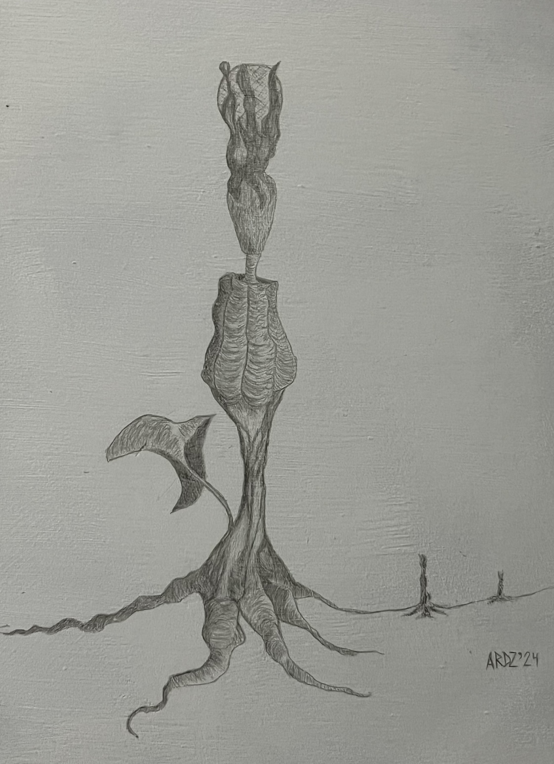 “Planta imaginaria”