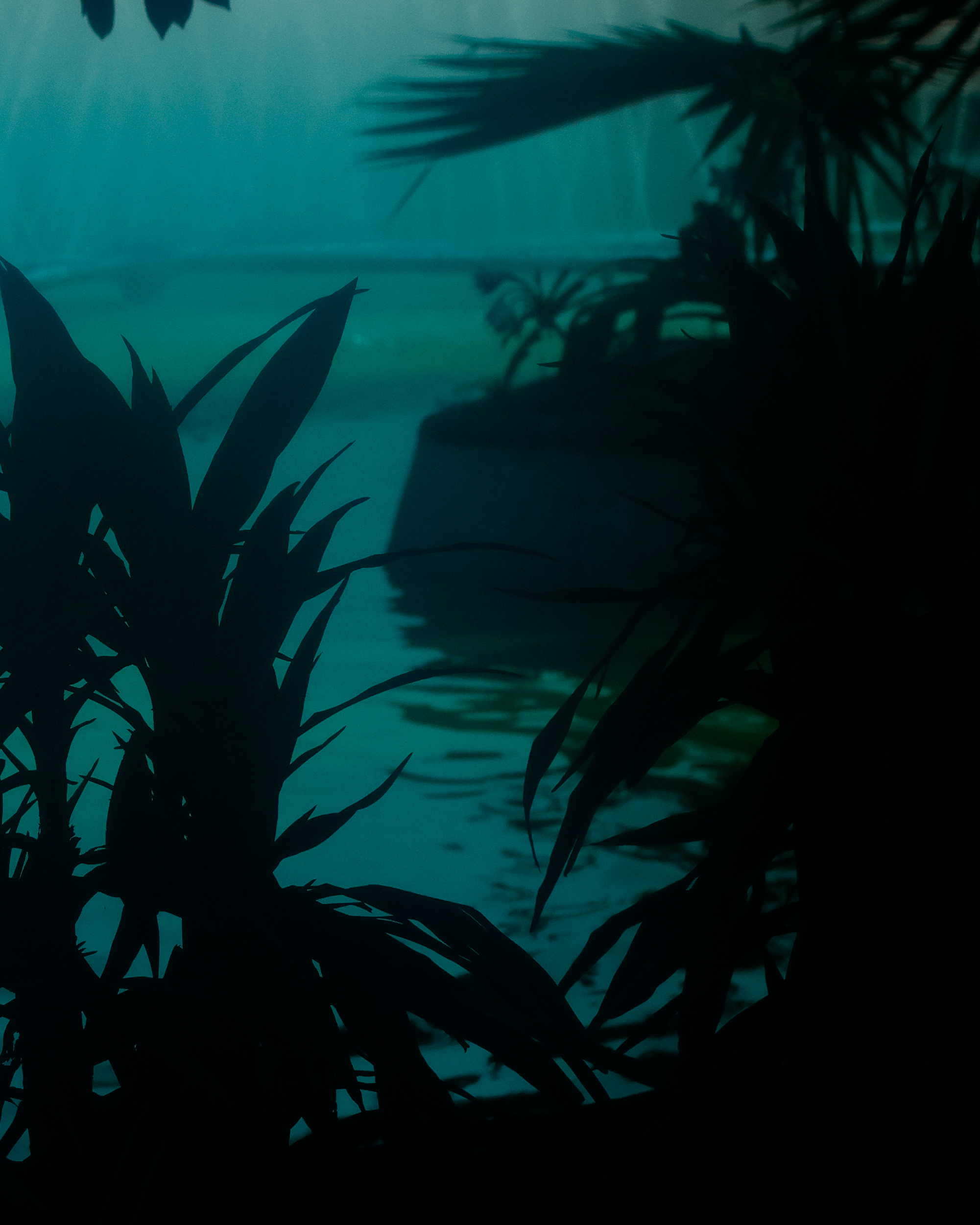 Extraño el mar — imagen 4