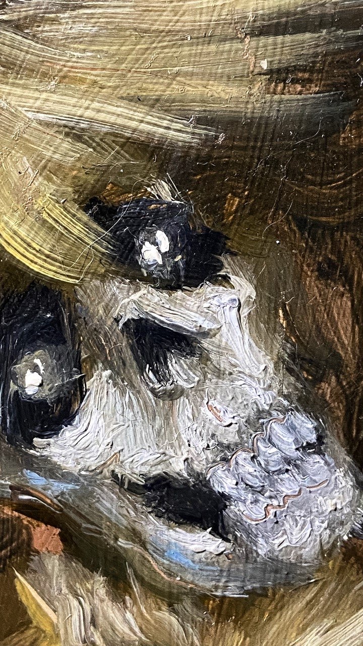 Esqueleto de paja — imagen 5