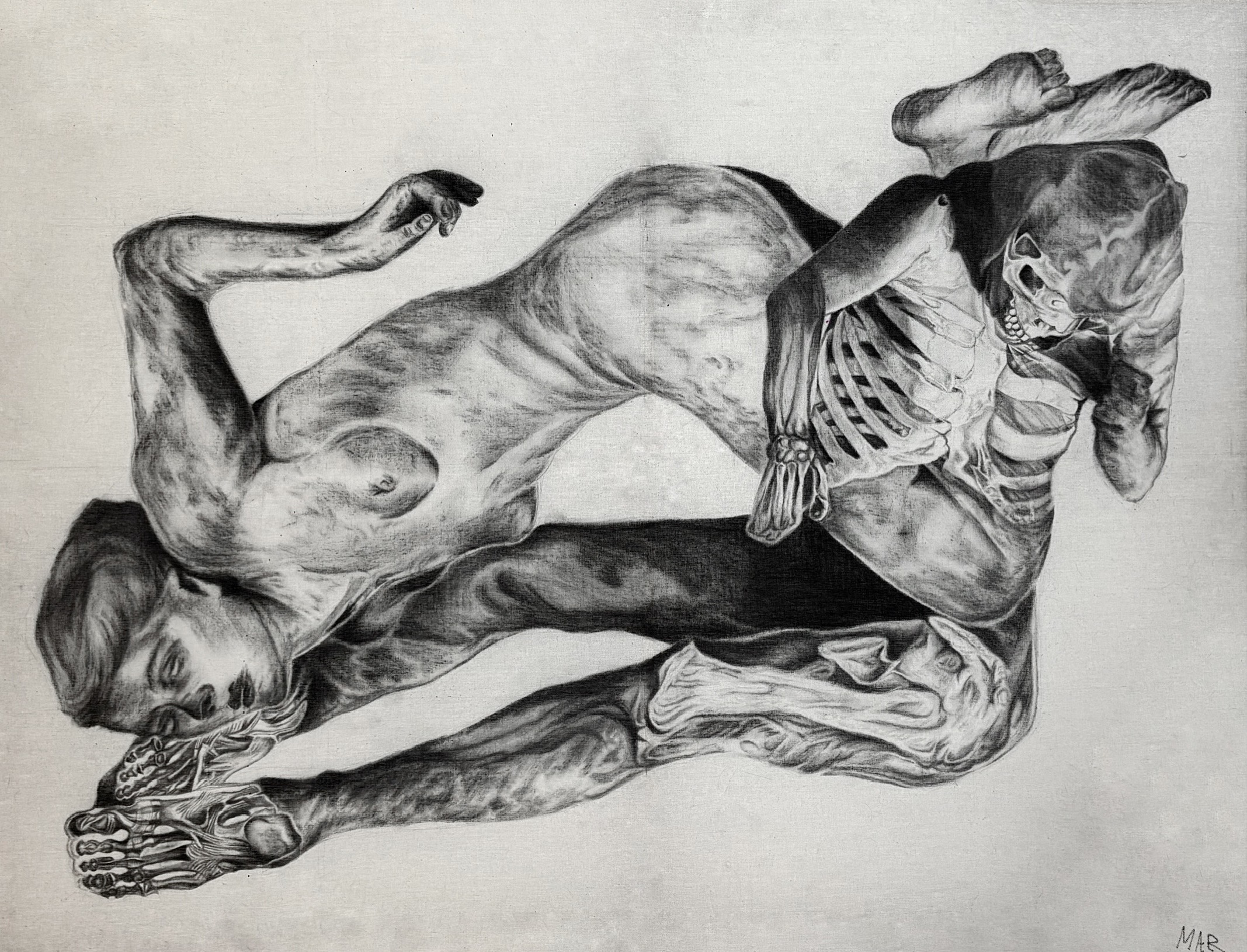 Vanitas de vanitatum