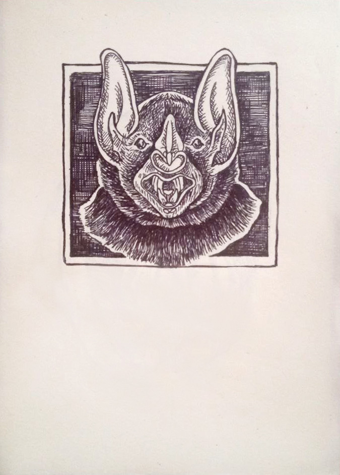 "Polinizador / Murciélago"
