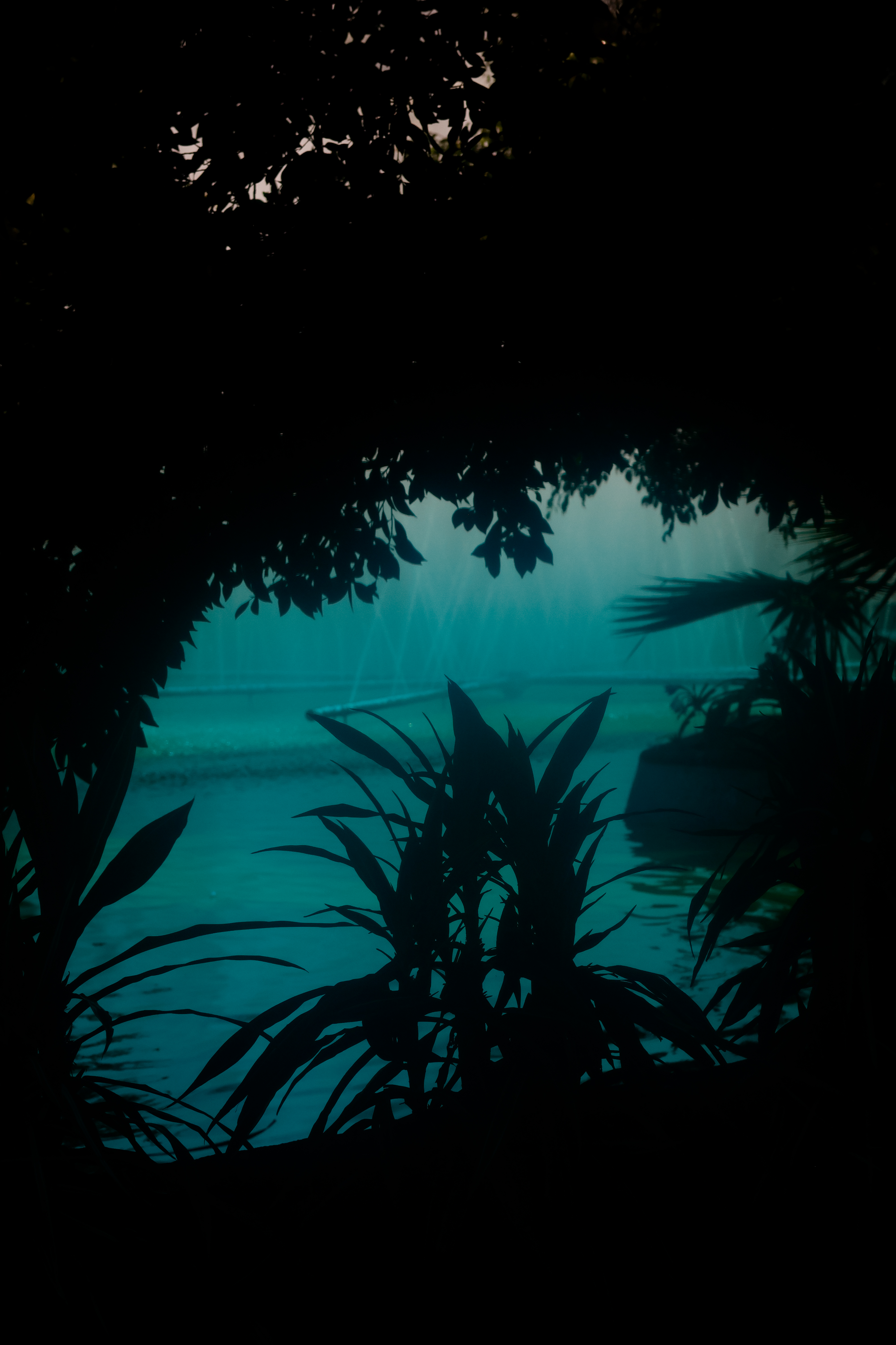 Extraño el mar — imagen 2