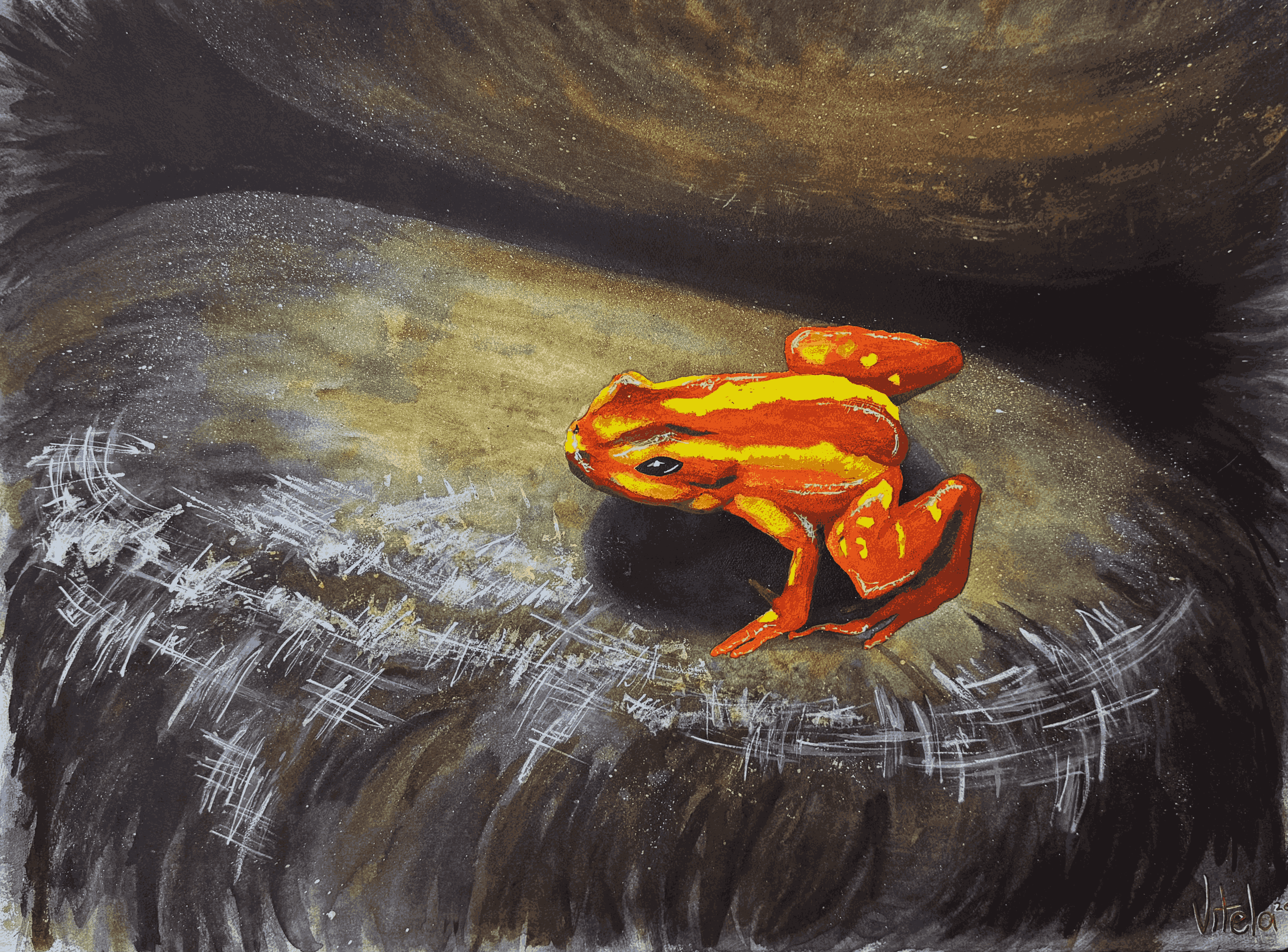 Phantasmal frog